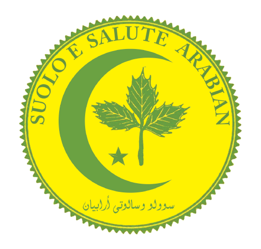 Our Journey: Defining Standards Since 2008